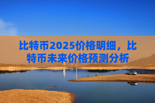 比特币2025价格明细,比特币未来价格预测分析