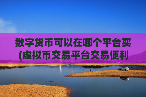 数字货币可以在哪个平台买(虚拟币交易平台交易便利)