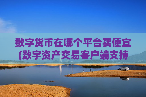 数字货币在哪个平台买便宜(数字资产交易客户端支持多币种)