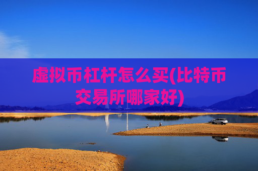 虚拟币杠杆怎么买(比特币交易所哪家好)