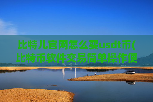 比特儿官网怎么买usdt币(比特币软件交易简单操作便捷快速)