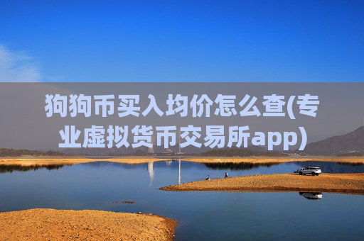 狗狗币买入均价怎么查(专业虚拟货币交易所app)