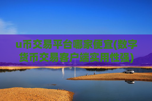 u币交易平台哪家便宜(数字货币交易客户端实用性强)