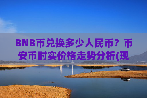 BNB币兑换多少人民币?币安币时实价格走势分析(现价4822.18元)