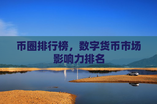 币圈排行榜,数字货币市场影响力排名