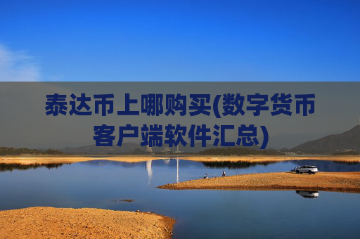 泰达币上哪购买(数字货币客户端软件汇总)