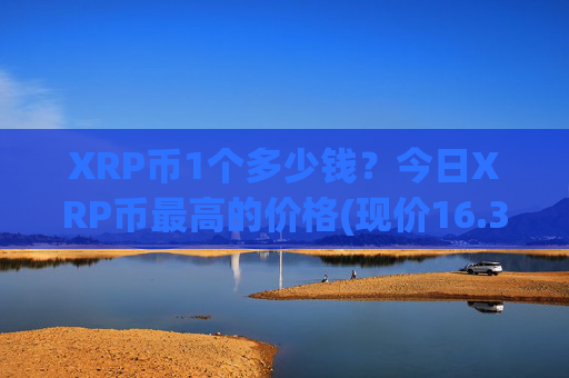 XRP币1个多少钱？今日XRP币最高的价格(现价16.3657元)