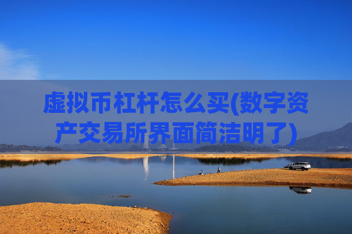 虚拟币杠杆怎么买(数字资产交易所界面简洁明了)
