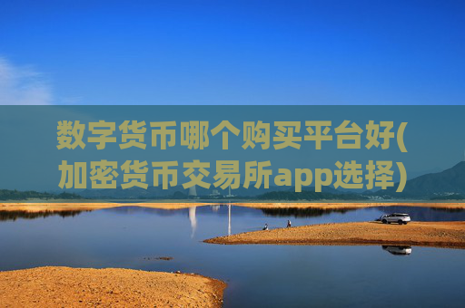 数字货币哪个购买平台好(加密货币交易所app选择)