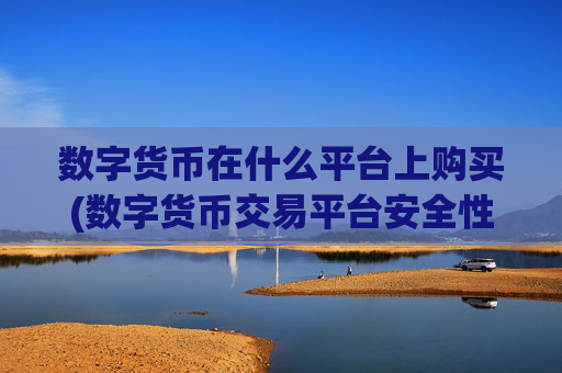 数字货币在什么平台上购买(数字货币交易平台安全性)