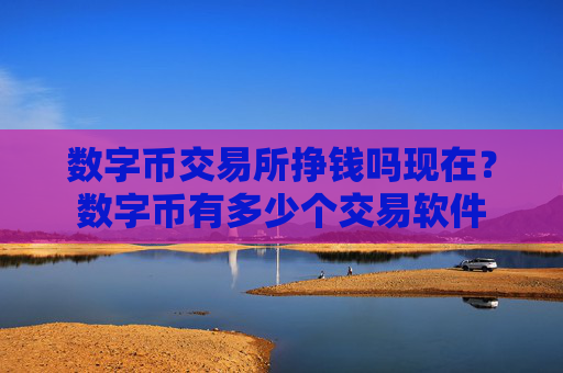 数字币交易所挣钱吗现在？数字币有多少个交易软件