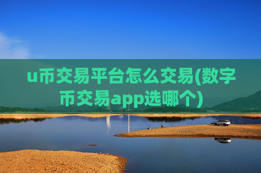 u币交易平台怎么交易(数字币交易app选哪个)