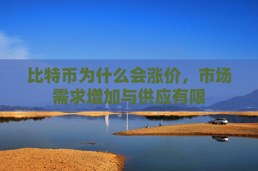 比特币为什么会涨价，市场需求增加与供应有限