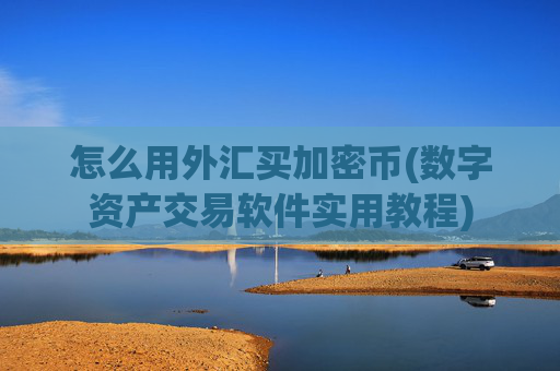 怎么用外汇买加密币(数字资产交易软件实用教程)