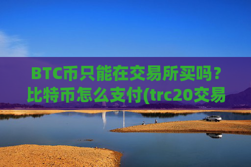 BTC币只能在交易所买吗？比特币怎么支付(trc20交易平台)