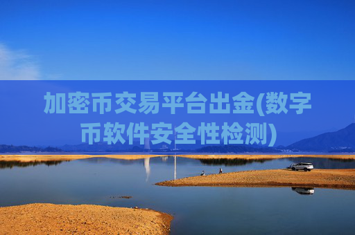 加密币交易平台出金(数字币软件安全性检测)