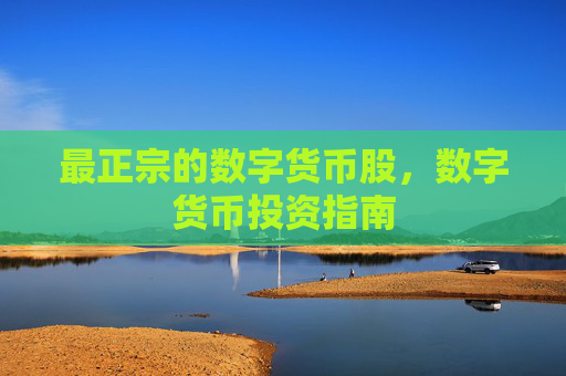 最正宗的数字货币股,数字货币投资指南