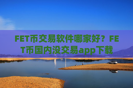 FET币交易软件哪家好？FET币国内没交易app下载