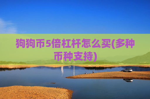 狗狗币5倍杠杆怎么买(多种币种支持)