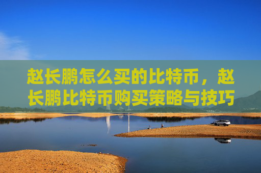 赵长鹏怎么买的比特币,赵长鹏比特币购买策略与技巧