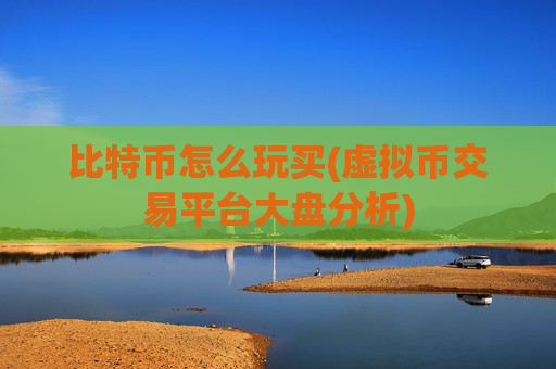 比特币怎么玩买(虚拟币交易平台大盘分析)