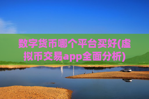 数字货币哪个平台买好(虚拟币交易app全面分析)