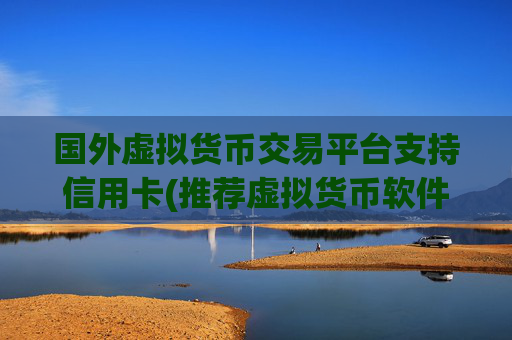 国外虚拟货币交易平台支持信用卡(推荐虚拟货币软件有哪些)