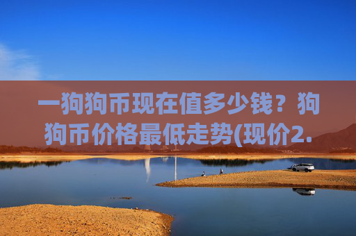 一狗狗币现在值多少钱?狗狗币价格最低走势(现价2.3249元)