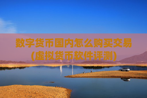 数字货币国内怎么购买交易(虚拟货币软件评测)