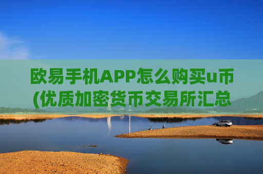 欧易手机APP怎么购买u币(优质加密货币交易所汇总)