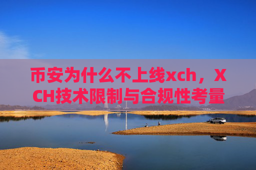 币安为什么不上线xch,XCH技术限制与合规性考量