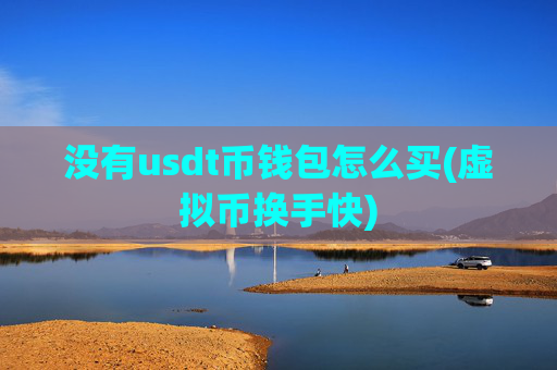 没有usdt币钱包怎么买(虚拟币换手快)