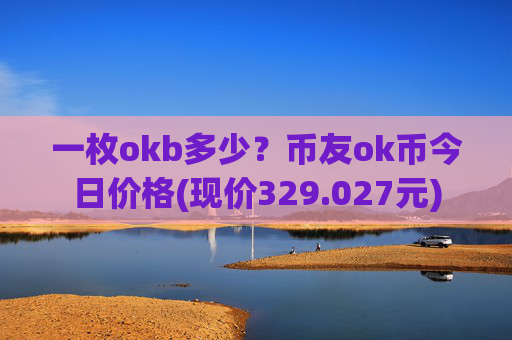 一枚okb多少？币友ok币今日价格(现价329.027元)