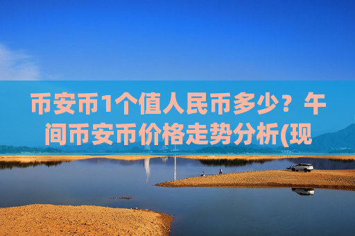币安币1个值人民币多少?午间币安币价格走势分析(现价4792.49元)