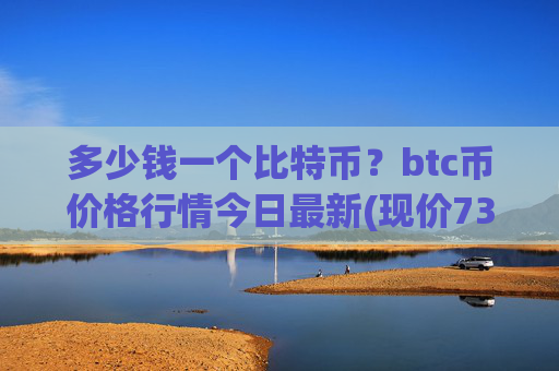 多少钱一个比特币？btc币价格行情今日最新(现价739901.15元)