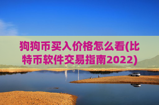 狗狗币买入价格怎么看(比特币软件交易指南2022)