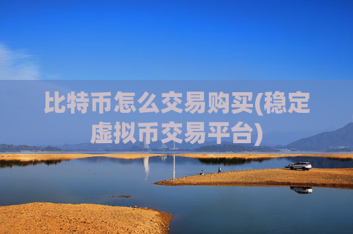 比特币怎么交易购买(稳定虚拟币交易平台)