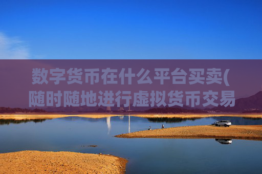数字货币在什么平台买卖(随时随地进行虚拟货币交易)