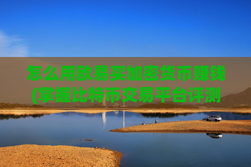 怎么用欧易买加密货币赚钱(掌握比特币交易平台评测)