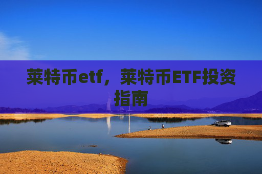 莱特币etf,莱特币ETF投资指南