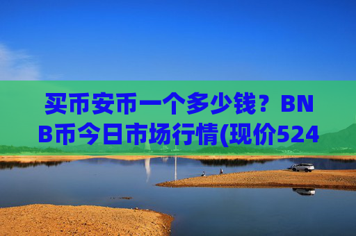 买币安币一个多少钱?BNB币今日市场行情(现价5247.59元)
