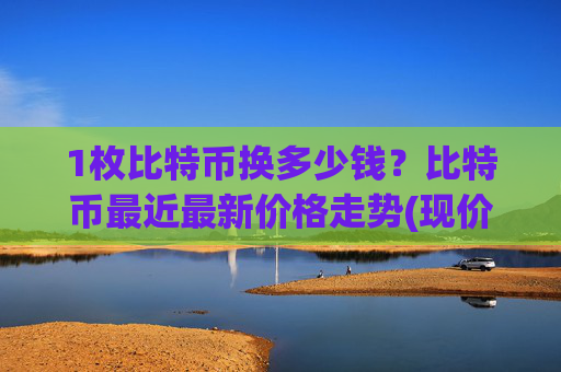 1枚比特币换多少钱？比特币最近最新价格走势(现价740612.53元)