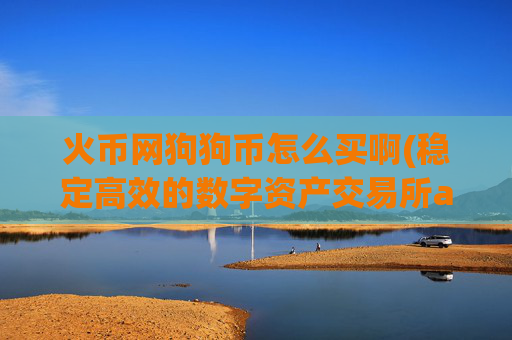 火币网狗狗币怎么买啊(稳定高效的数字资产交易所app)