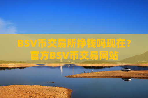 BSV币交易所挣钱吗现在?官方BSV币交易网站