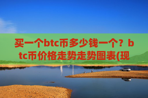 买一个btc币多少钱一个？btc币价格走势走势图表(现价740565.65元)
