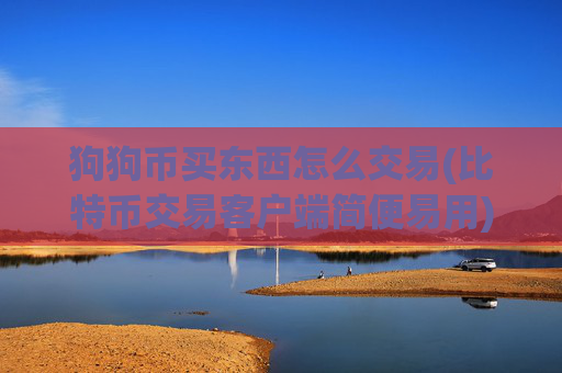 狗狗币买东西怎么交易(比特币交易客户端简便易用)