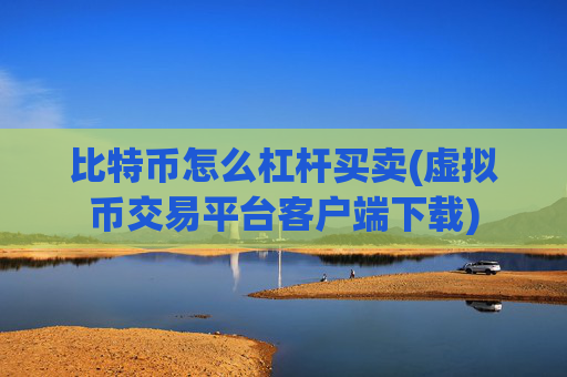 比特币怎么杠杆买卖(虚拟币交易平台客户端下载)