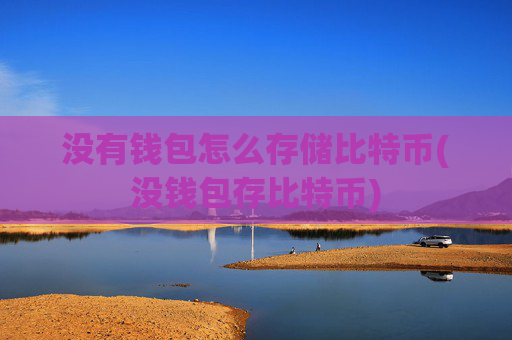 没有钱包怎么存储比特币(没钱包存比特币)