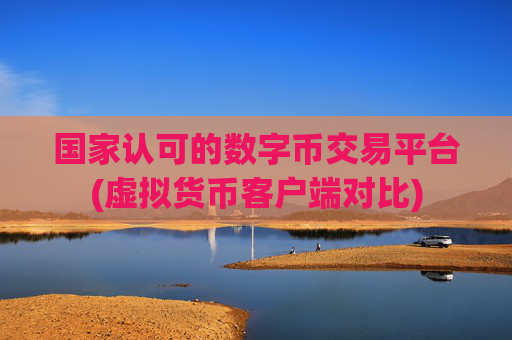 国家认可的数字币交易平台(虚拟货币客户端对比)