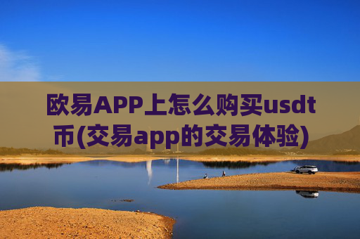欧易APP上怎么购买usdt币(交易app的交易体验)
